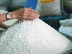 MS TD SLO MO Woman in market stall smoothing mound of rice and picking out impurities / Vientiane, Laos Stock Footage
