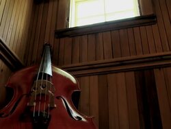 Contrabass Stock Footage