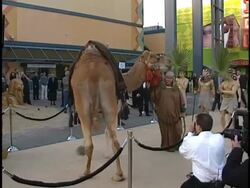 Premiere of 'The Mummy' Stock Footage