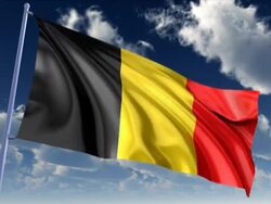 Belgian Flag Stock Footage