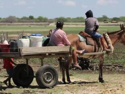 MS Shot of People going to searching for water on shafts / Pilao Arcado, Bahia, Brazil Stock Footage