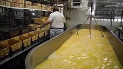 America Faces Surplus Of Cheese With Record Dairy Production Stock Footage