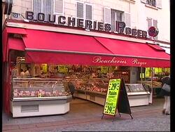 FRANCE: BSE PANIC INCREASES Instructional Video