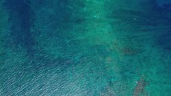 Sunlight illuminates translucent blue water, revealing a coral reef. Stock Footage
