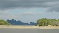 panning : Mangrove forest is on low tide under rainy storm Stock Footage