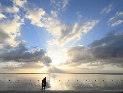 Sunset Stroll Stock Footage