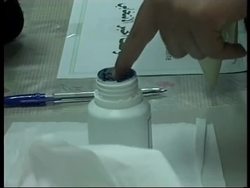 Voting across territories, Ashrawi, Carter comments News Clip