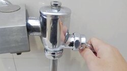 Flush The Toilet Stock Footage