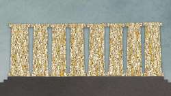 TED-ED: What did democracy really mean in Athens? - Melissa Schwartzberg Instructional Video