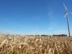 Wind Energy Stock Footage