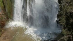 Biodiversidad Instructional Video