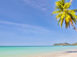 Tropical holiday beach Stock Footage