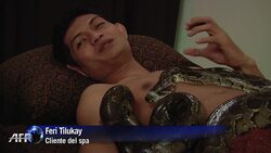 VOICED : Masaje con serpientes de piton News Clip