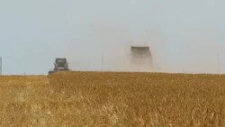 heat on harvesting Stock Footage
