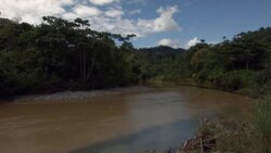 Rio Villano in the Ecuadorian Amazon Stock Footage