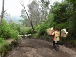 MS Miners carrying solid sulfur / Ijen, Java, Indonesia Stock Footage