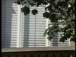 GERMANY - Five Murders In Frankfurt Brothel News Clip