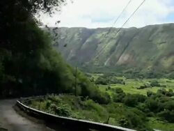 WS POV T/L View of car going down Waipio Valley / Waipio, Hawaii, USA Stock Footage