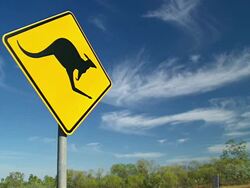 MS Outback road sign of 'Kangaroo' / Karumba, Queensland, Australia Stock Footage