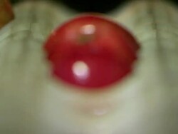 Medium Close Up static - Apples roll in in a polisher /  Missouri, United States Stock Footage