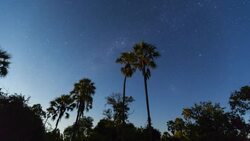 Night and sunrise on Okavango Delta , Botswana, Africa Stock Footage