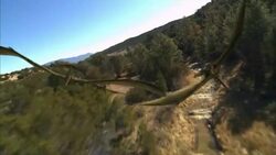 Quetzalcoatluses soar over other dinosaurs. Stock Footage