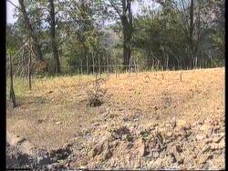 Bosnia - Mladic Takes Srebrenica News Clip