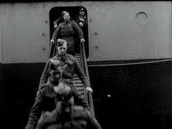 NWEF BACK HOME WITH TAILS UP - News Clip