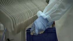 A technician removes links of sausages from hooks in a sausage making plant. Stock Footage