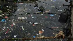 Sea Pollution Stock Footage