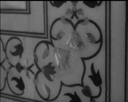 TAJ MAHAL FACE-LIFT News Clip