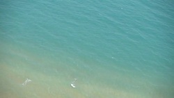 Aerial view of sea and beach Stock Footage