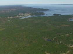 WS ARIEAL View of Wooded area with port / Maine, United States Stock Footage