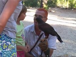 Croatia's first sanctuary for birds of prey News Clip