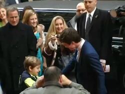 'Harry Potter and The Goblet of Fire' New York Premiere Arrivals Stock Footage