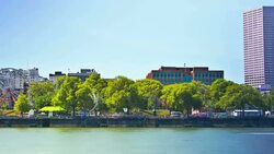 Portland Day Zoom Stock Footage