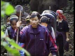 Elephants help combat illiteracy in rural Thailand News Clip