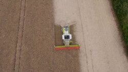 Combine Harvesting Rapeseed, Aerial View Stock Footage