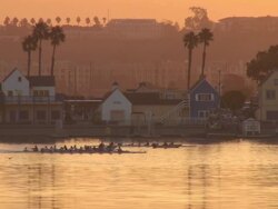 (HD1080i) Golden Race: Big vs Small Stock Footage