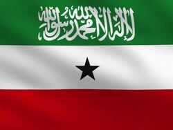 Flag of Somaliland Stock Footage