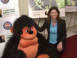Guest at the Kim Kardashian Hosts 2010 Celebrity Skee Ball Tournament Benefit at New York NY. (Footage by WireImage Video/GettyImages) Stock Footage