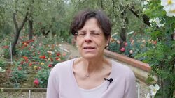 Blooms from one of the world's largest rose gardens News Clip