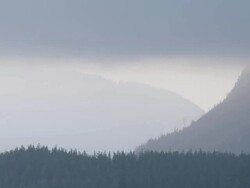 WS View of Forested hills above Clayoquot Sound / Tofino, British Columbia, Canada Stock Footage