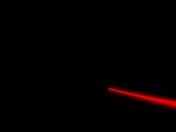 Valentine's Day Rose Stock Footage