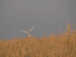 Wind Turbines makeing power Stock Footage