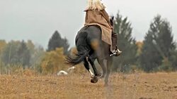 SLO MO DS female rancher riding a horse in gallop Stock Footage