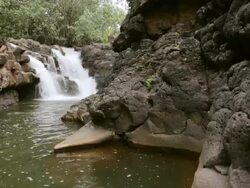 MS PAN Shot of Hoopii Falls / Kapaa, Kauai, Hawaii, United States Stock Footage