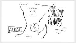 TED-ED: The coelacanth: A living fossil of a fish - Erin Eastwood Instructional Video