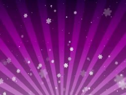 Daisy background Stock Footage