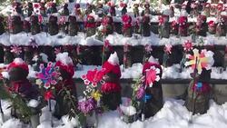 CLEAN : Thousands stranded scores injured in snowbound Tokyo News Clip